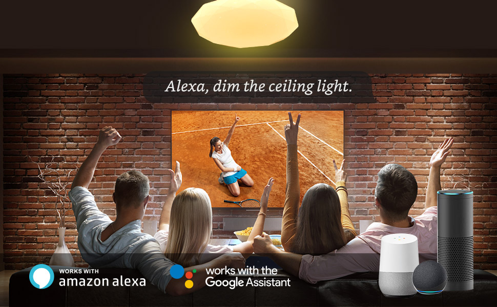 alexa ceiling lights