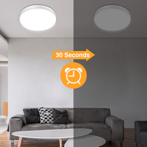 led ceiling light