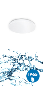 water proofceiling light