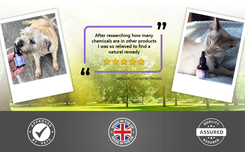 Dog Cat Vet Veterinarian Recommended Approved UK made Natural Rememdy No Chemical Wormwood Wormer