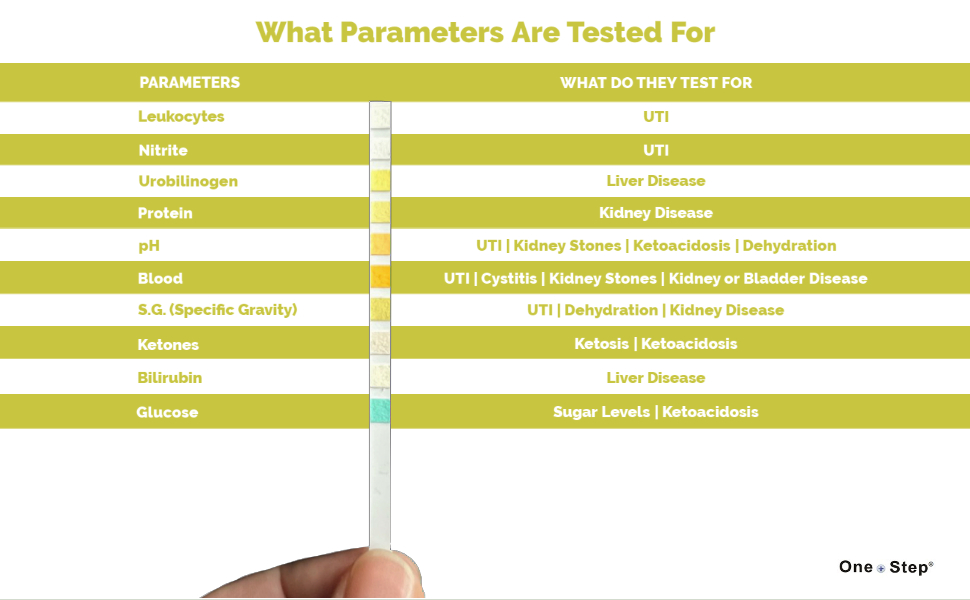 what it tests for