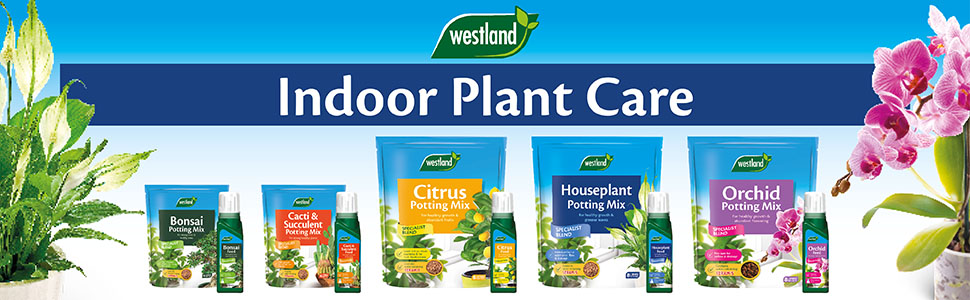 westland plant feed banner