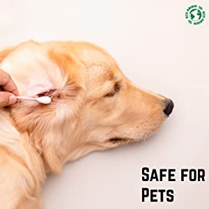 Safe for pets