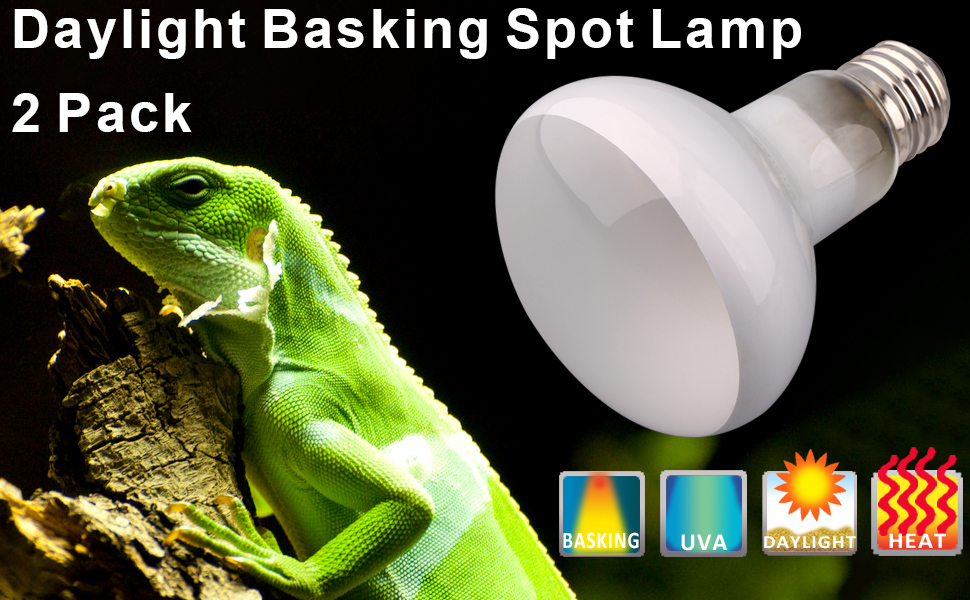 Basking spot lamp