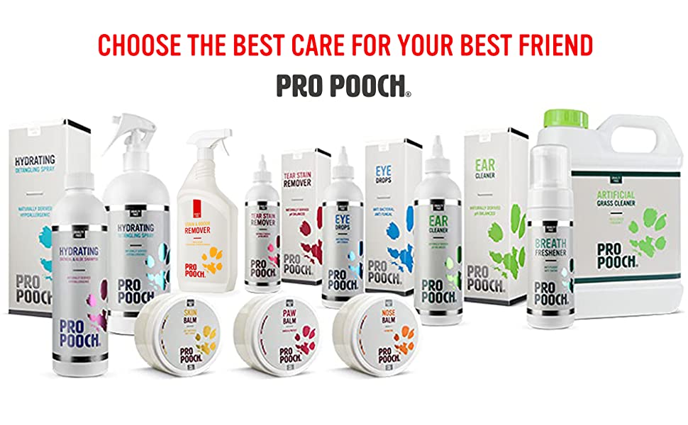 Choose the best care for your best friend