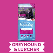 Greyhound & Lurcher