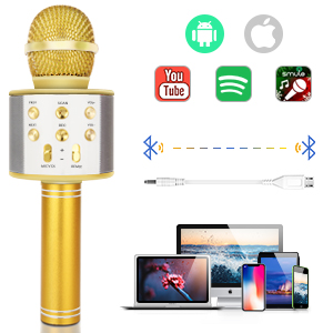 Karaoke Wireless Bluetooth