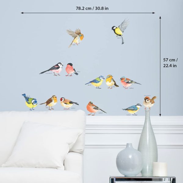 DS-8038 Little Birds Wall Art Stickers Colourful Flying British Birds Wall Decals Removable Garden Decorations Poster Bedroom Kitchen Living Room (Small) - Image 8