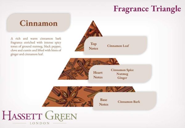 Fragrance Oil Reed Diffuser Refill - Larger Size 250ml Bottle - Cinnamon - Image 2