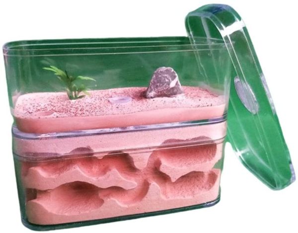 Revna Ant Farm Worm Lore Ant Castle Gypsum Habitat For Live Ants Feeding Ecosystem Farm Science Experiment Formicarium Birthday Present Gift - Image 3