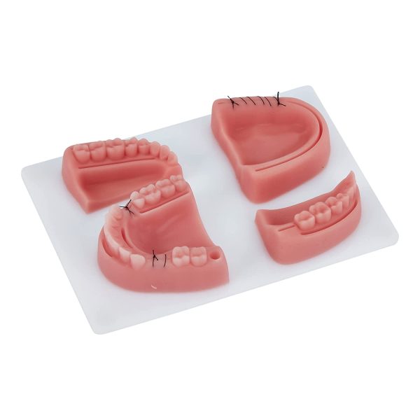 Dentistry Suture Kit | Complete Suturing Kit Including 4 Suture Pads | Perfect Dentist Gifts | 6 Quality Dental Suture Tools | Suturing Practice | OSCE Dentistry | Perfect Suture Material - Image 5