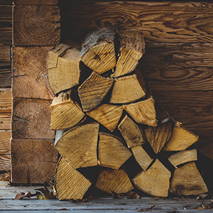 Log pile, log store, firewood, open fire fuel.