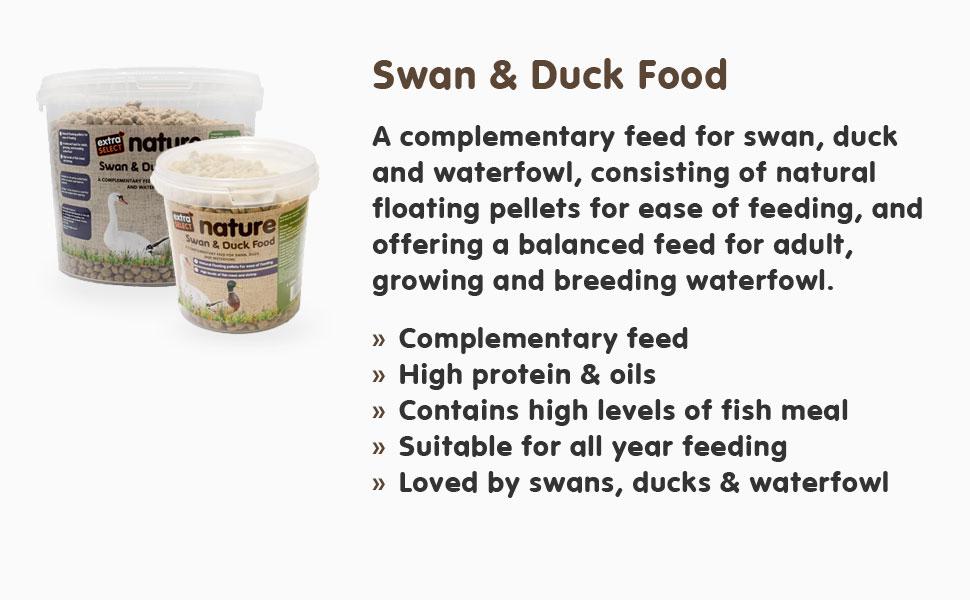 swan and duck wild animal food