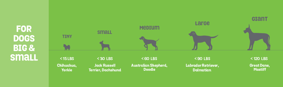 Benebone Size Chart