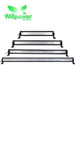 Double Row LED Light Bar