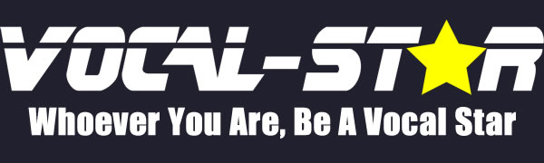 VS- Logo