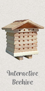 Interactive Beehive