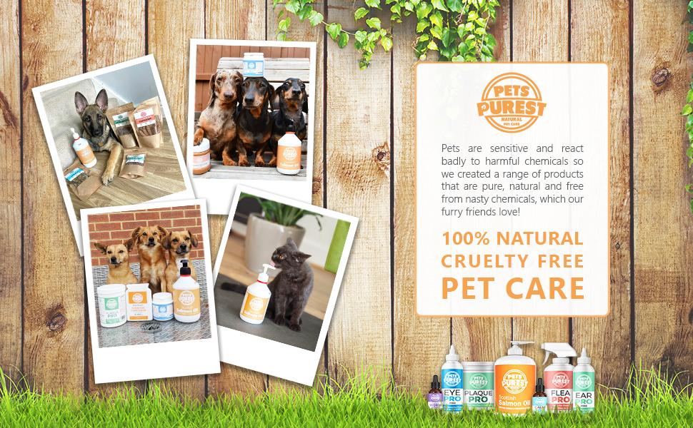 Pet supplements Daily Puppies Kitty Puppy Dog Supplies Products Skin Health Oil for Dogs Liquid 