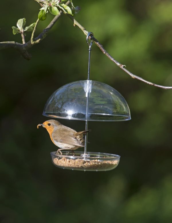 Clear Hanging Bird Feeder - I Love Robins Pearl Feeder with 15cm rain dome - attracts small garden birds. Fill with birdseed or mealworms