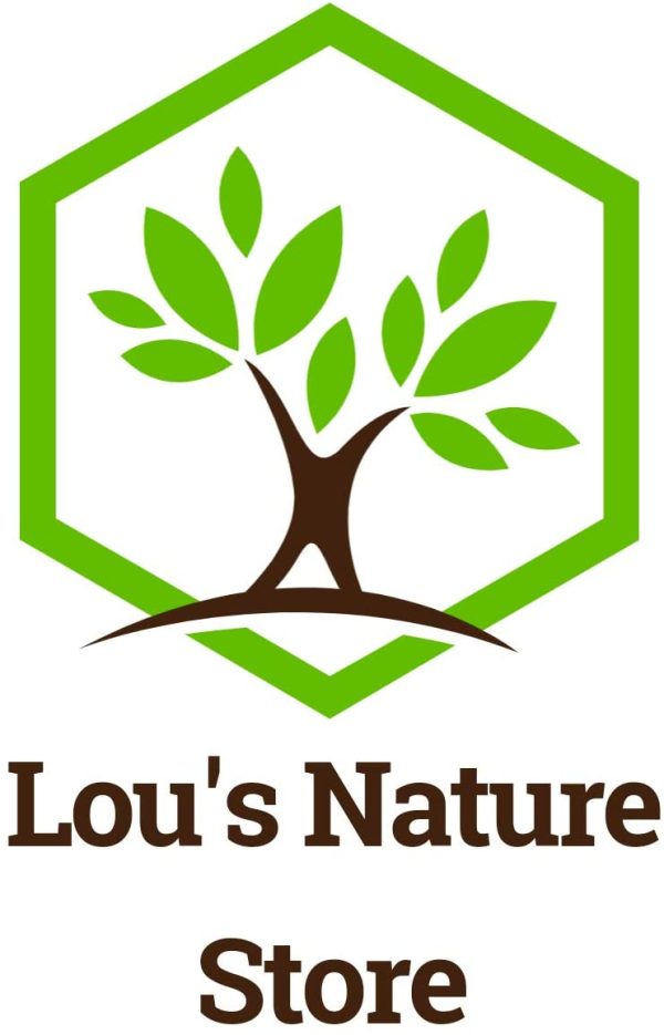 Lou's Nature Store - Window Bird Feeder, Bird Feeding Station, Bird Bath & Feeder for Wild Birds, Small Birds - Image 2