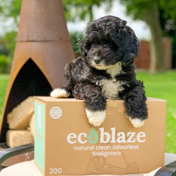 Eco Blaze Natural Firelighters - Spruce Wood Wool Coated Natural Wax. Instant Fire Starters For Wood Burners, Stoves, Lumpwood Charcoal, Chimeneas and Campfires - 200 Box - Image 7