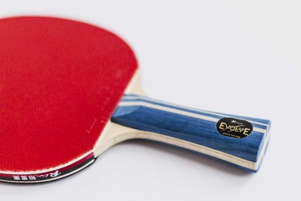 Palio Evolve 2020 Edition Table Tennis Bat with FREE headcover. The new and updated expert bat in the Palio Range. ITTF approved best table tennis bat on Amazon. - Image 4