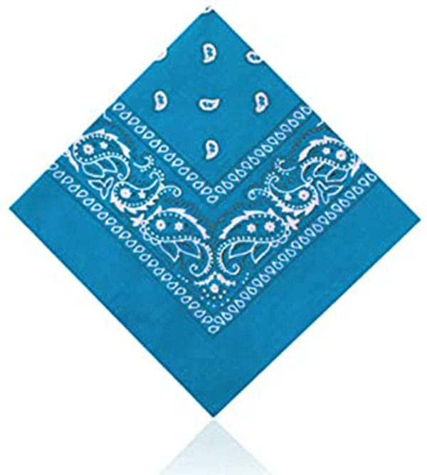 Plain & Paisley 100% Cotton Bandana by Hats of London