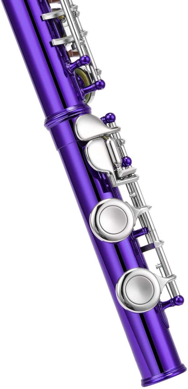 Eastar Flute Closed Hole 16 Key C Nickel Plated Beginner Flute Set With Carrying Case Stand Gloves Cleaning Rod and Cloth,Purple(EFL-1Pu?? - Image 4