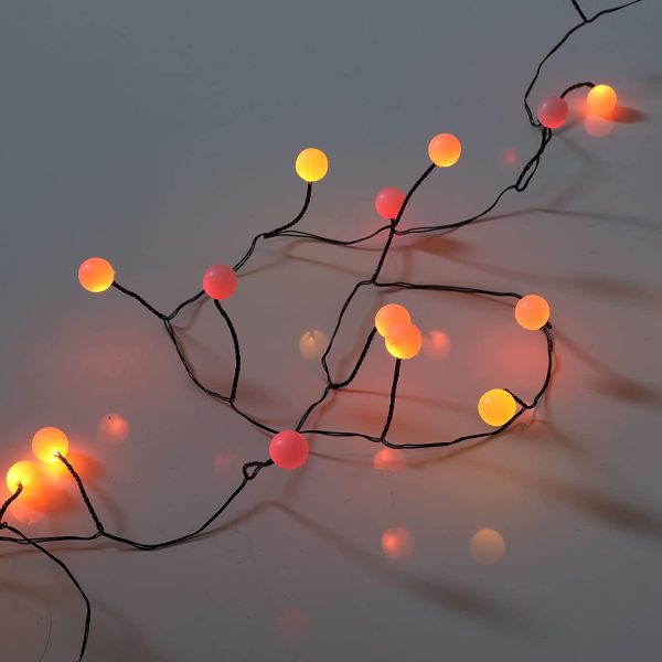 Berry Christmas Lights - 40 LED Sunset Berry Lights. Red, Orange and Yellow. Multi-Colour Christmas Lights. Battery Powered Fairy Lights for Indoor use - Image 2