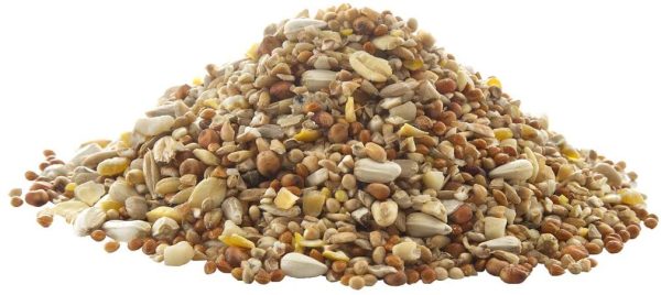 Peckish 60050105 Complete Seed and Nut No Mess Wild Bird Food Mix, 12.75kg, transparent - Image 5