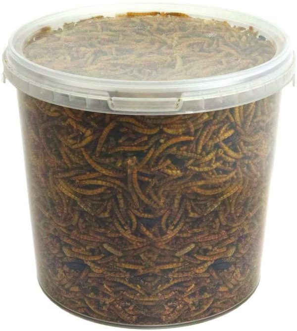 GardenersDream Dried Mealworms | Premium Garden Wild Bird Food Mix Balanced Formula | Protein-Rich, Great Source of Energy | Contains Beneficial Mixed Vitamins | Large Variety (1L Tub) - Image 2