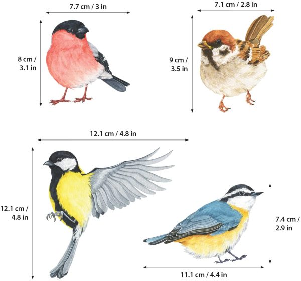 DS-8038 Little Birds Wall Art Stickers Colourful Flying British Birds Wall Decals Removable Garden Decorations Poster Bedroom Kitchen Living Room (Small) - Image 4