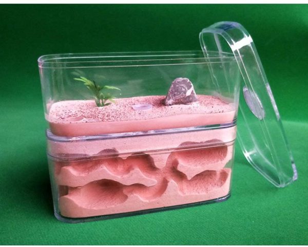 Revna Ant Farm Worm Lore Ant Castle Gypsum Habitat For Live Ants Feeding Ecosystem Farm Science Experiment Formicarium Birthday Present Gift - Image 2