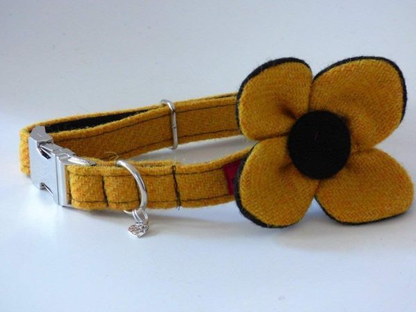 Harris Tweed Dog Collar with detachable Flower - Citrus Yellow