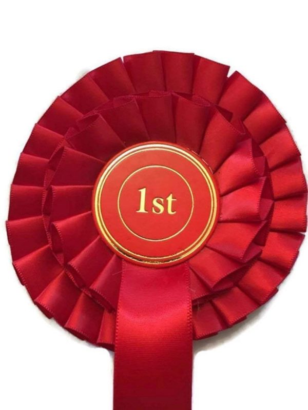 Champion grade 2 tier rosette, ribbon award in satin with Elizabethan pleat - Image 7