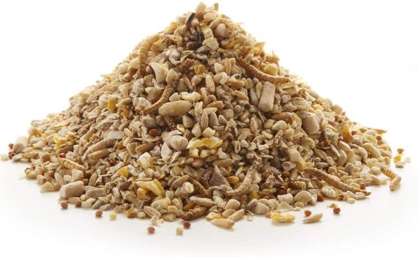 Peckish Robin Bird Seed and Insect Mix, 1 kg - Image 4