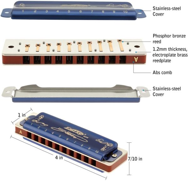 East top 10 Holes 20 Tones 008K Diatonic Harmonica Key of A with Blue Case, Standard Harmonicas For Adults, Professional Playerand Students - Image 6