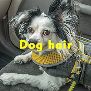 car seat covers for dogs