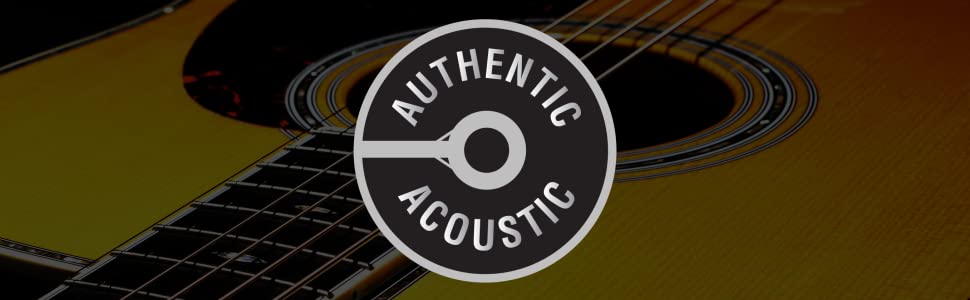 Martin Authentic Acoustic guitar strings