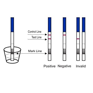 pregnancy results