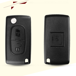 Peugeot key case