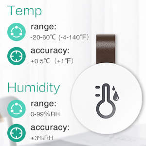 Wireless Thermometer Hygrometer