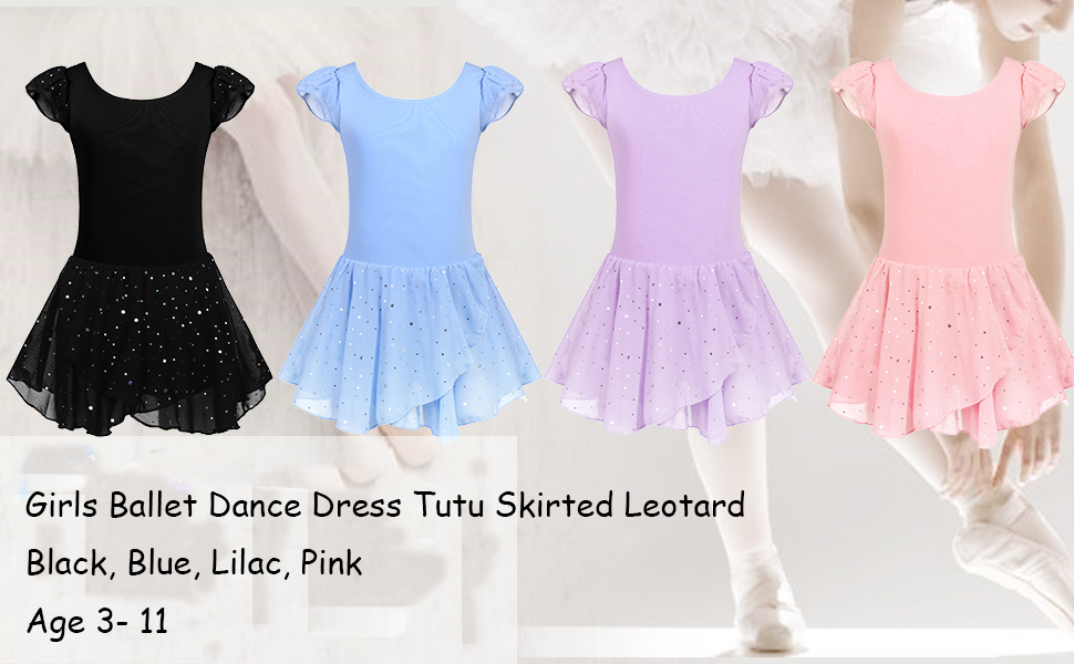 Girls Ballet Dance Dress Tutu Skirted Leotard