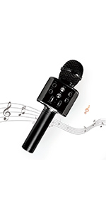 Karaoke Microphone 