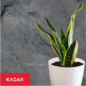 KADAX Flower Pot Plant pot lightweight and durable material. A decorative pot for plants.