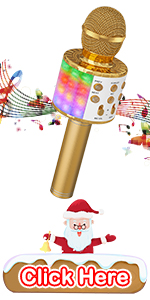 karaoke microphone