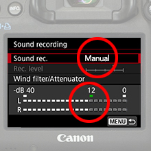 Manual Audio Settings