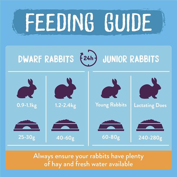 Burgess Excel Junior and Dwarf Nuggets with Mint Rabbit Food 10 kg - Image 4