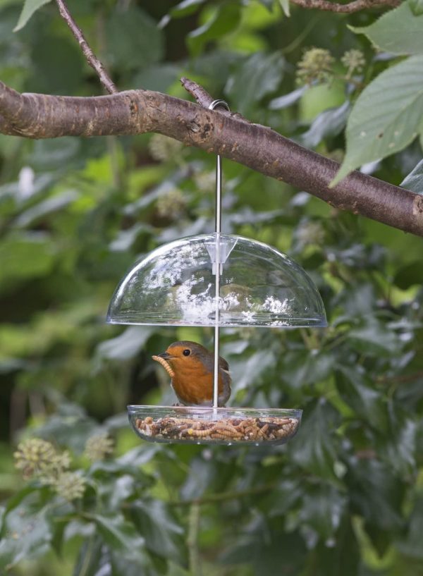 Clear Hanging Bird Feeder - I Love Robins Pearl Feeder with 15cm rain dome - attracts small garden birds. Fill with birdseed or mealworms - Image 2