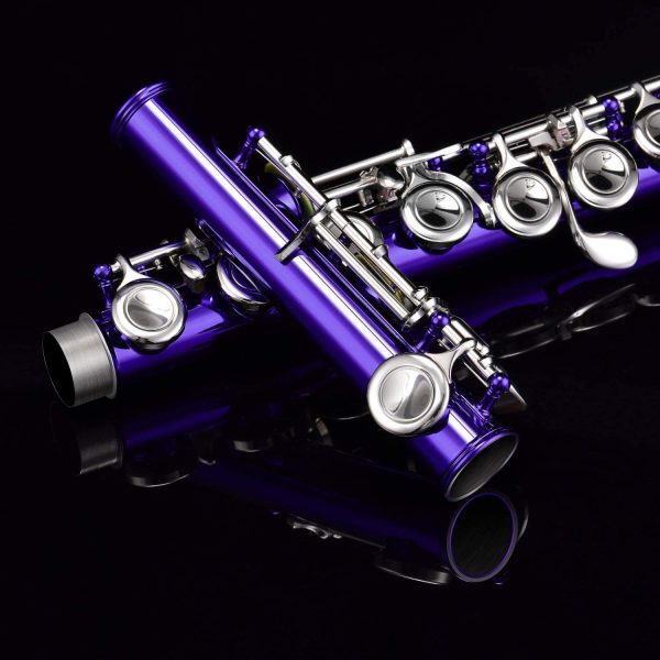 Eastar Flute Closed Hole 16 Key C Nickel Plated Beginner Flute Set With Carrying Case Stand Gloves Cleaning Rod and Cloth,Purple(EFL-1Pu?? - Image 5